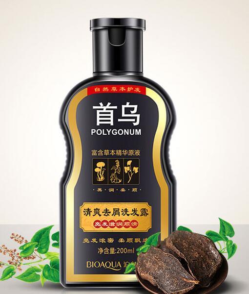 Polygonum Herbal Remedy Hair Shampoo
